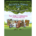 Acorn's Game Set Print